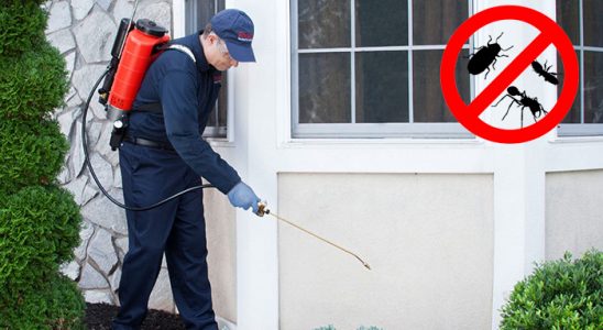 Yahyalı Kene İlaçlama böcek ilaçlama ve haşere kontrolü — ilaclama-tr.com